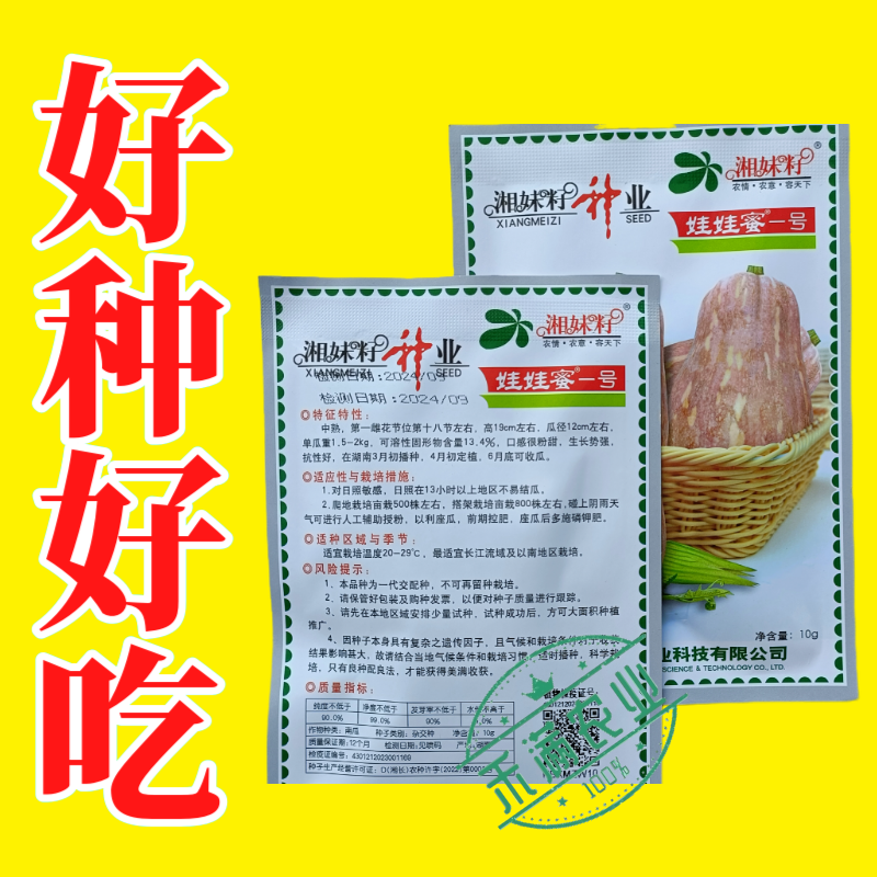 湘妹籽娃娃蜜一号南瓜种子口感粉甜小型南瓜种子新品花生