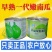 早熟小南瓜种子小青瓜一串铃绿皮黄肉小南瓜种籽蔬菜基地高产