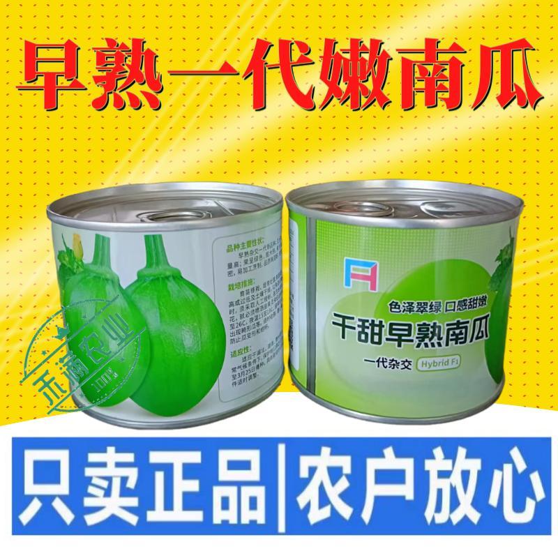 早熟小南瓜种子小青瓜一串铃绿皮黄肉小南瓜种籽蔬菜基地高产