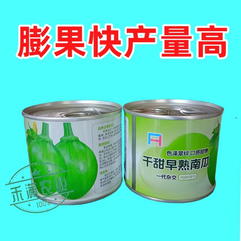 早熟小南瓜种子小青瓜一串铃绿皮黄肉小南瓜种籽蔬菜基地高产