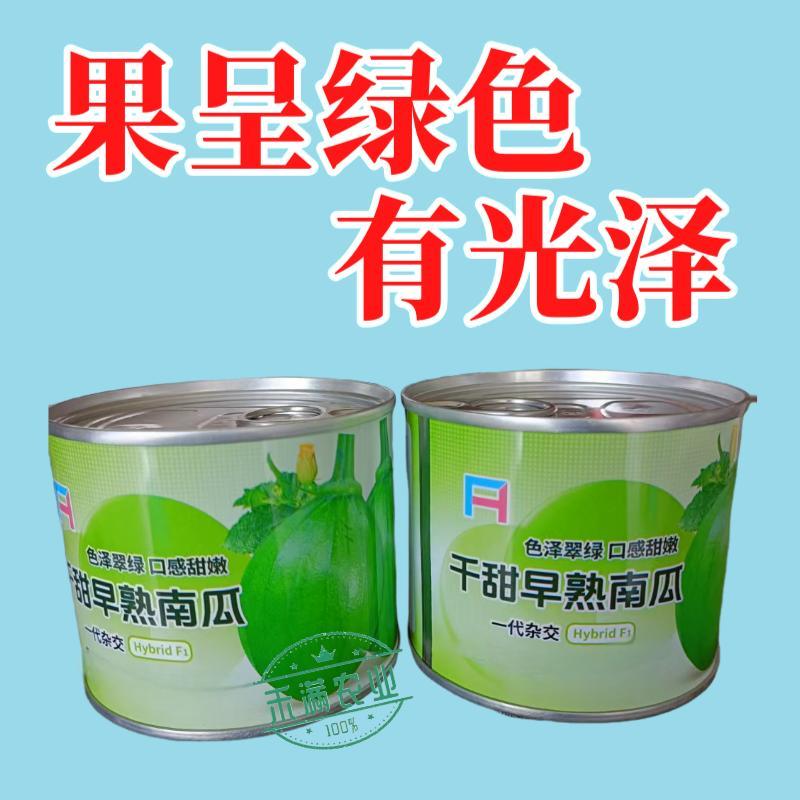 早熟小南瓜种子小青瓜一串铃绿皮黄肉小南瓜种籽蔬菜基地高产
