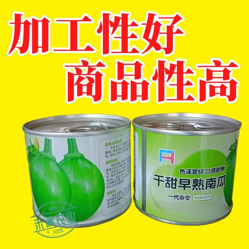 早熟小南瓜种子小青瓜一串铃绿皮黄肉小南瓜种籽蔬菜基地高产