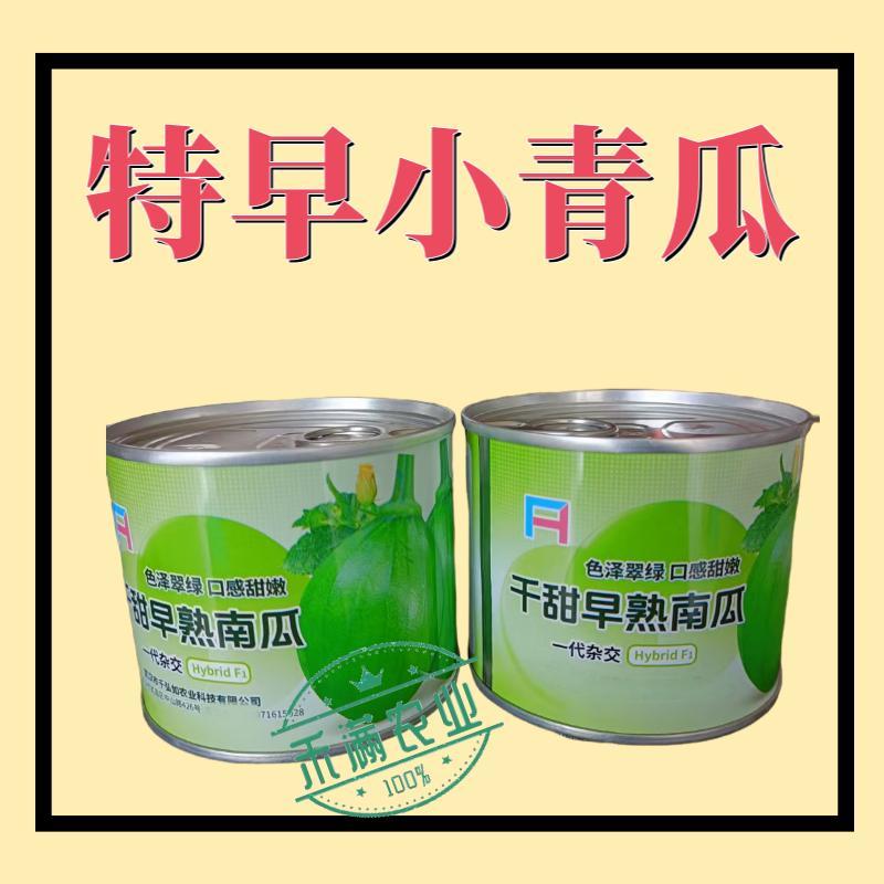早熟小南瓜种子小青瓜一串铃绿皮黄肉小南瓜种籽蔬菜基地高产
