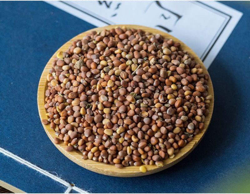 正宗莱菔子中药材新货天然无硫萝卜籽炒莱菔子泡茶食补莱菔子