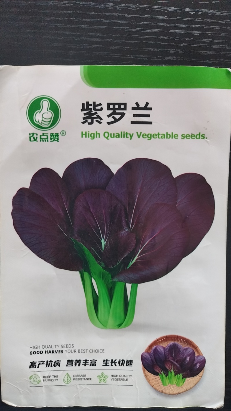 紫罗兰-菜种子抽薹较晚生长强势抗病甜嫩爽口四季播种