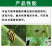 1%联苯噻虫胺颗粒剂杀虫剂地下害虫韭蛆地老虎正品包邮