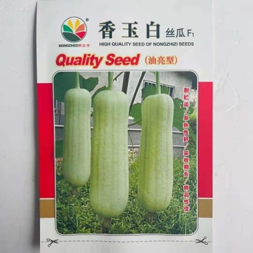香玉白丝瓜种子短棒油亮型早中熟耐热连续坐果能力强