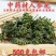 长白山人参花500克8年特级花蕾足干
