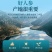 长白山原产地人参片泡水250克装生晒参片批