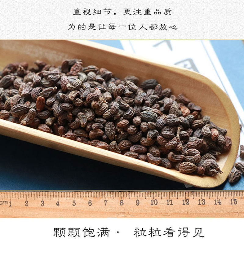 正品女贞子中药材冬青子无硫女贞子当季批发中药材女贞子真子