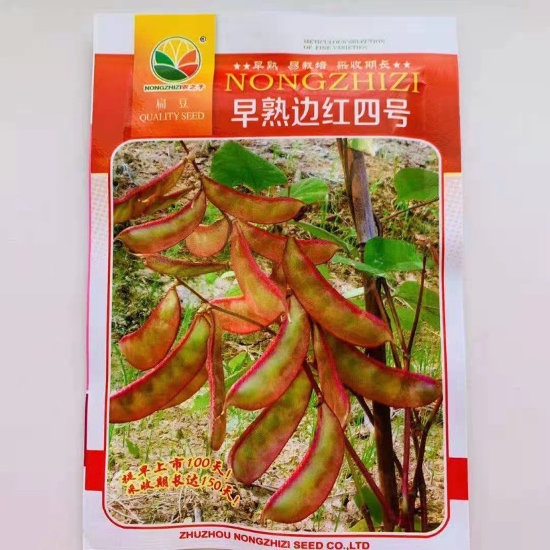 早熟边红四季扁豆种子荚边紫红色早熟扁豆种子眉豆种子
