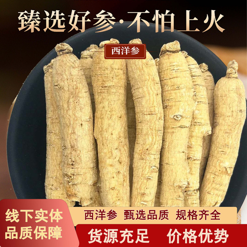 西洋参长支250克吉林西洋参条西洋参整根可切片泡水