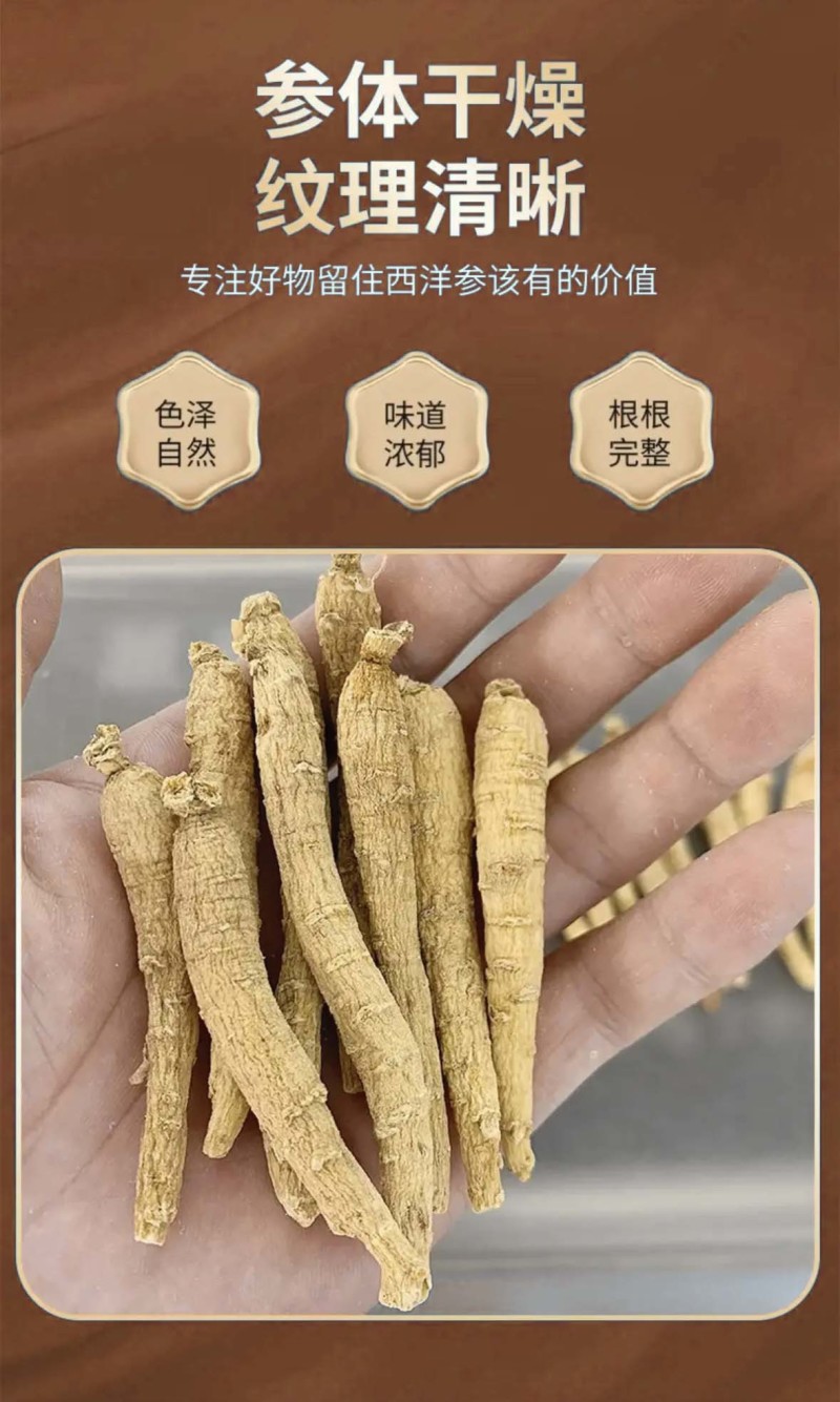 西洋参长支250克吉林西洋参条西洋参整根可切片泡水