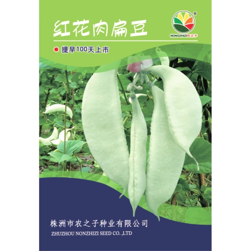 红花肉扁豆种子早熟春扁豆种子耐旱搭架栽培