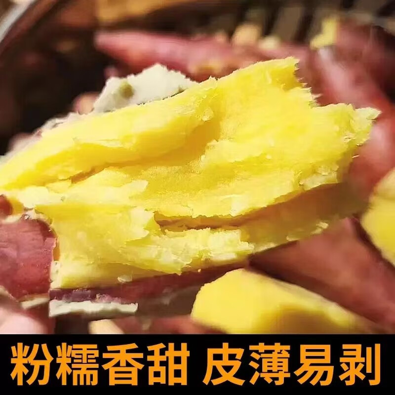 新鲜板栗红薯新货现挖零售批发产地直发