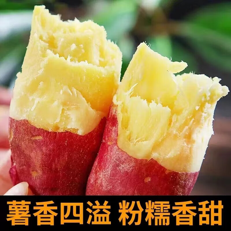 新鲜板栗红薯新货现挖零售批发产地直发