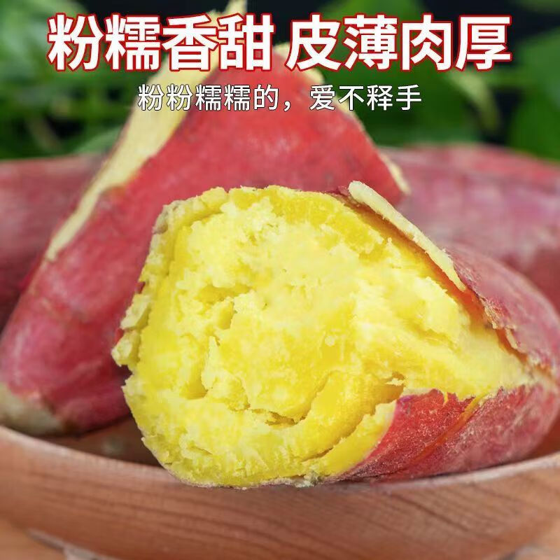 新鲜板栗红薯新货现挖零售批发产地直发