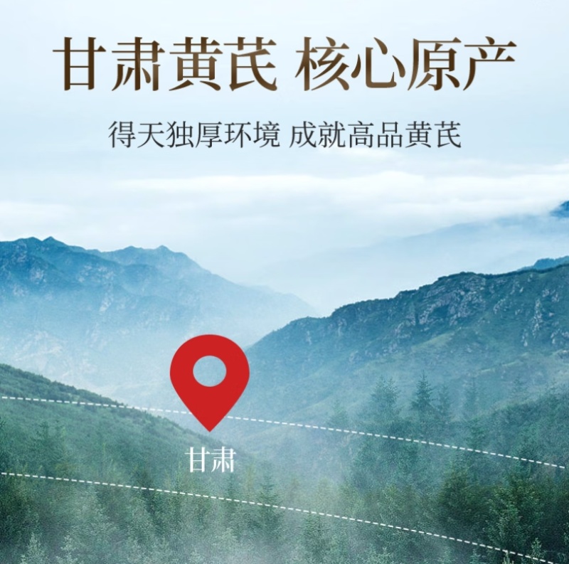 黄芪泡水500g黄芪片散装甘肃袋装产地货源