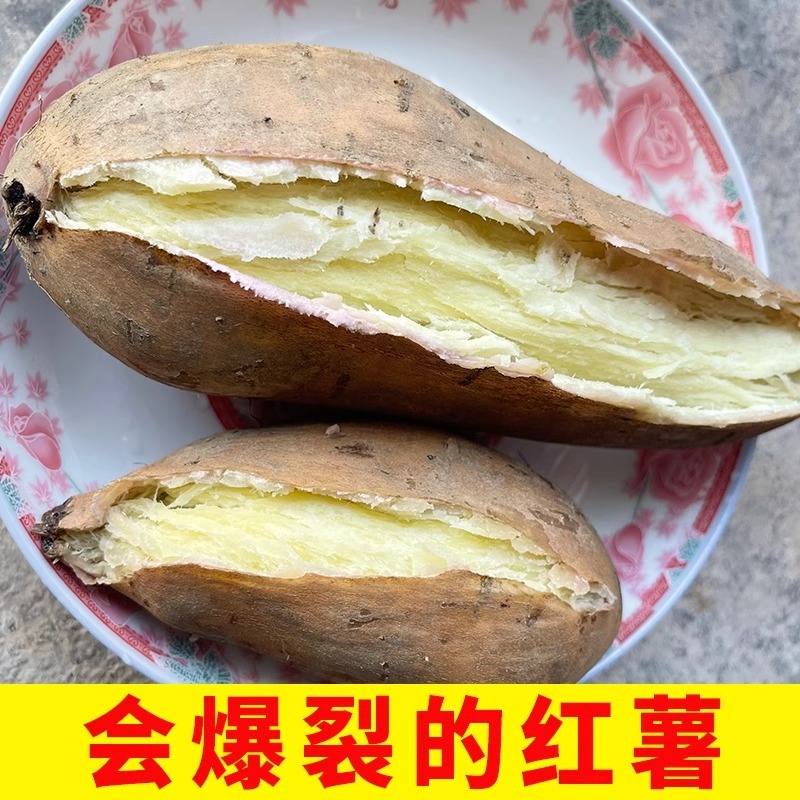 高州爆皮白心薯农家种植粉糯干面零售批发产地直发
