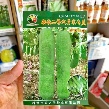 农杂二号大青皮冬瓜种子50克原装耐热抗病青皮冬瓜种子