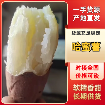 哈蜜红薯大量有货品质保证服务周到