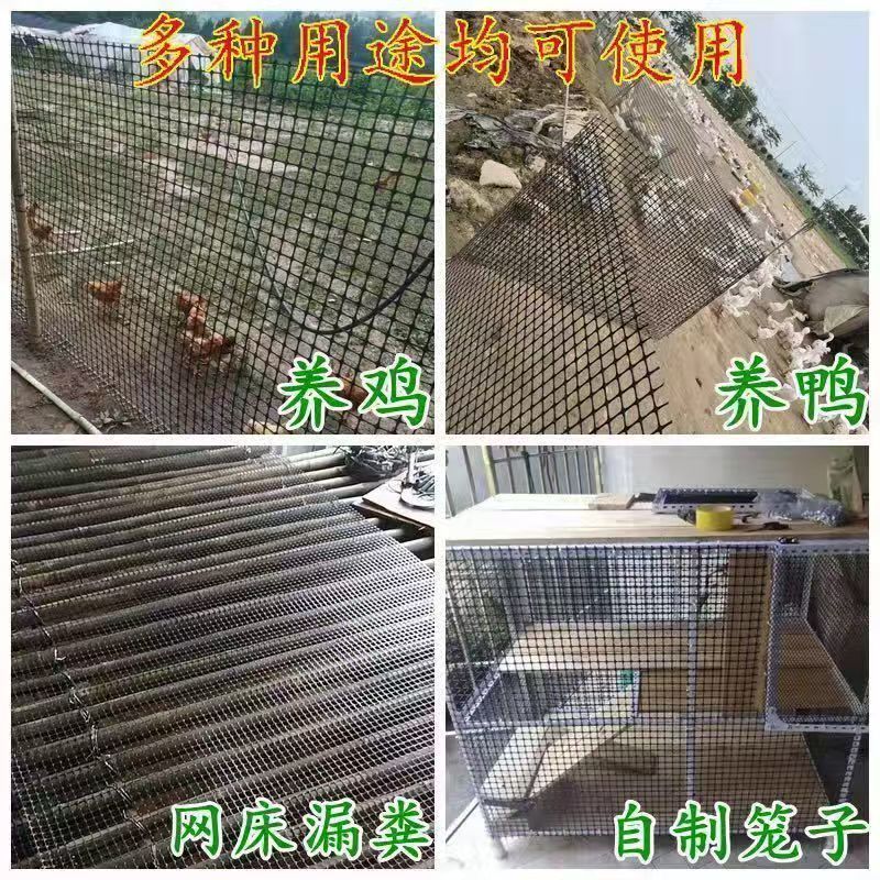 塑料网产地直发现货秒发价格美丽欢迎各大老板采购咨询