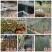 塑料网产地直发现货秒发价格美丽欢迎各大老板采购咨询