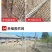 塑料网产地直发现货秒发价格美丽欢迎各大老板采购咨询