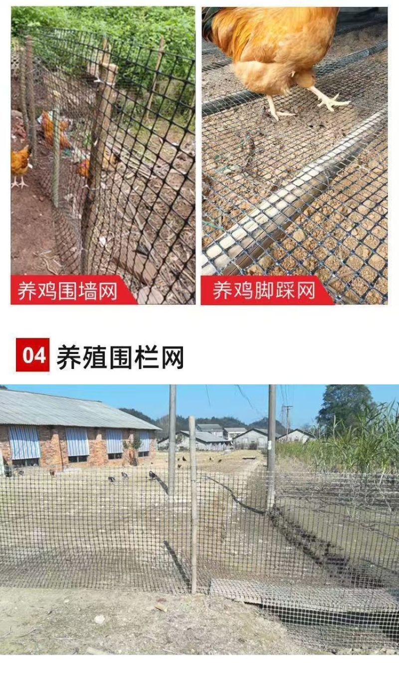 塑料网产地直发现货秒发价格美丽欢迎各大老板采购咨询