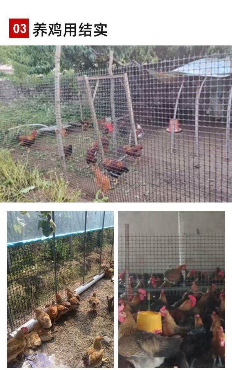 塑料网产地直发现货秒发价格美丽欢迎各大老板采购咨询