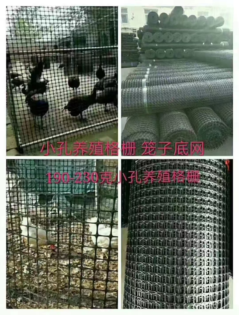 塑料网产地直发现货秒发价格美丽欢迎各大老板采购咨询