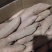 哈蜜红薯大量有货品质保证服务周到