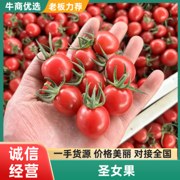 圣女果，千玺贝贝釜山88青甜对接平台商标，一件代发