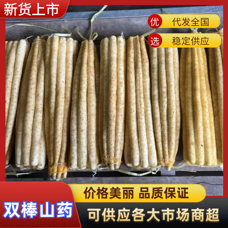 河北双棒双棒，双棒土货蔬菜网袋包装新鲜山药大量供货