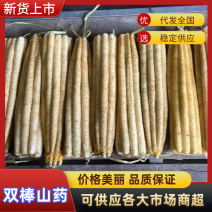 【双棒山药】河北山药网袋山药软糯香甜产地一手货源