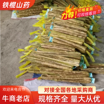 1河北精品山药铁棍山药，口感软糯香甜欢迎采购咨询