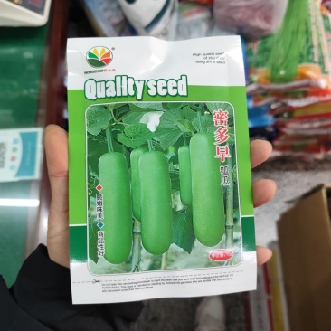 密多早瓠瓜种子早熟耐高温皮色油绿带光泽味甜可口