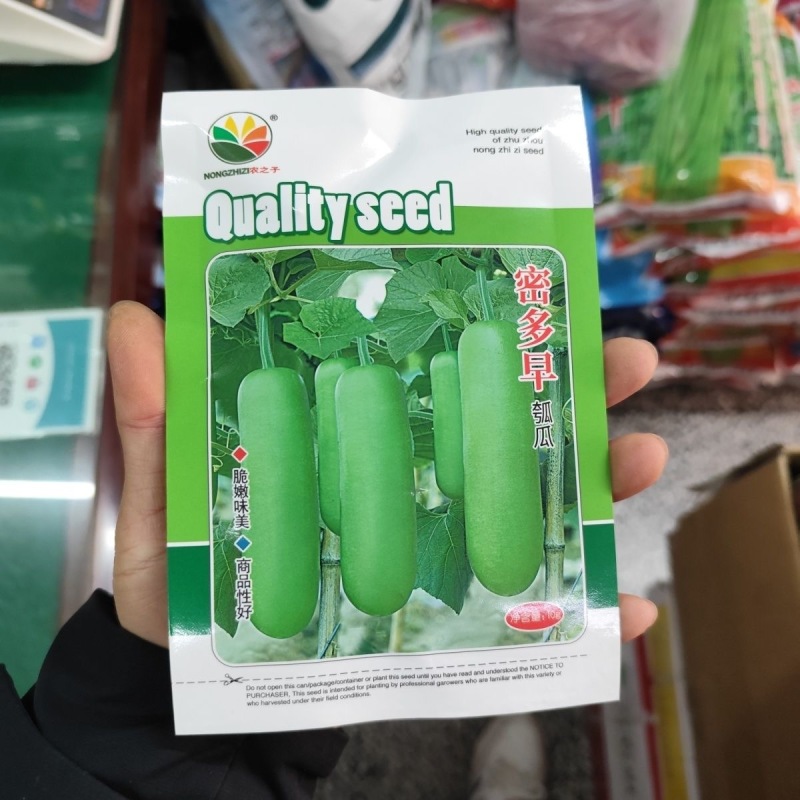 密多早瓠瓜种子早熟耐高温皮色油绿带光泽味甜可口