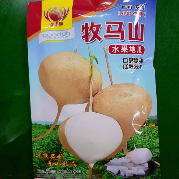 牧马水果地瓜种子凉薯种子沙葛种子口感脆甜小叶细藤