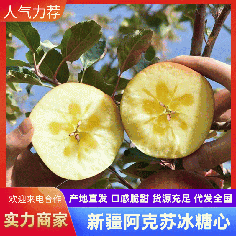 【推荐】新疆阿克苏冰糖心苹果量大从优产地发货欢迎咨询