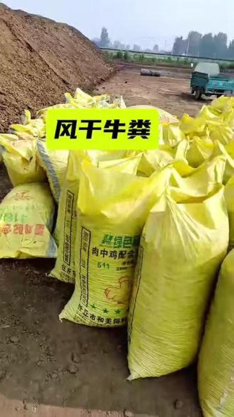 纯自然晒干牛粪和发酵牛粪价格优惠欢迎来电洽谈诚信经营