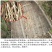 白茅根新货中药材水洗白茅根茶白毛根甜草根坚草根干品无硫多