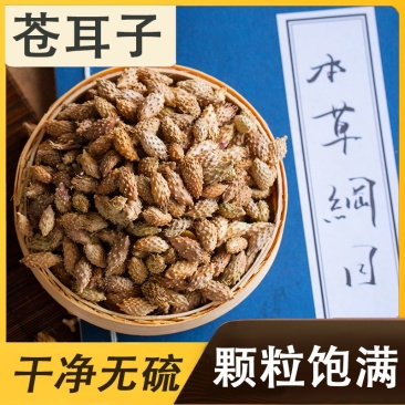 苍耳晒干苍耳子中药材正宗天然带刺新货成熟包邮无刺头毛苍子
