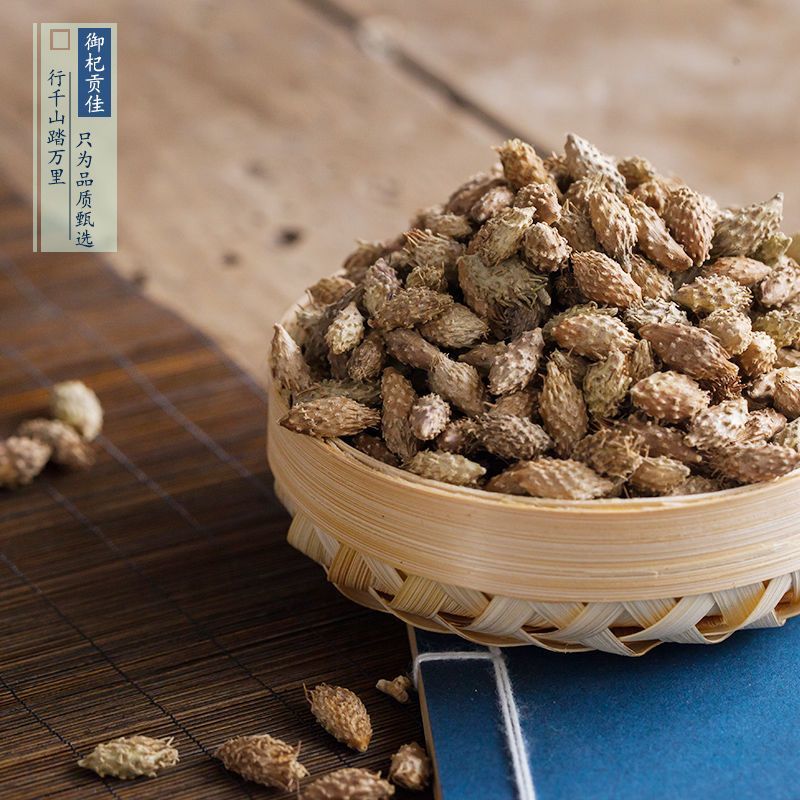 苍耳晒干苍耳子中药材正宗天然带刺新货成熟包邮无刺头毛苍子
