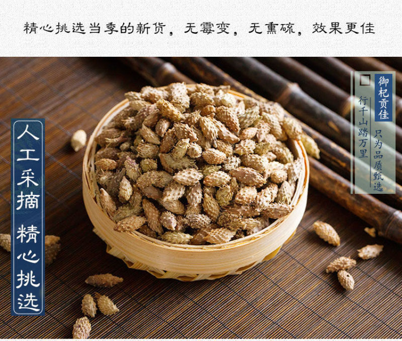 苍耳晒干苍耳子中药材正宗天然带刺新货成熟包邮无刺头毛苍子