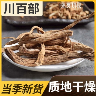 正品新货百部500克包邮中药材野生百部无硫百部草百条根百