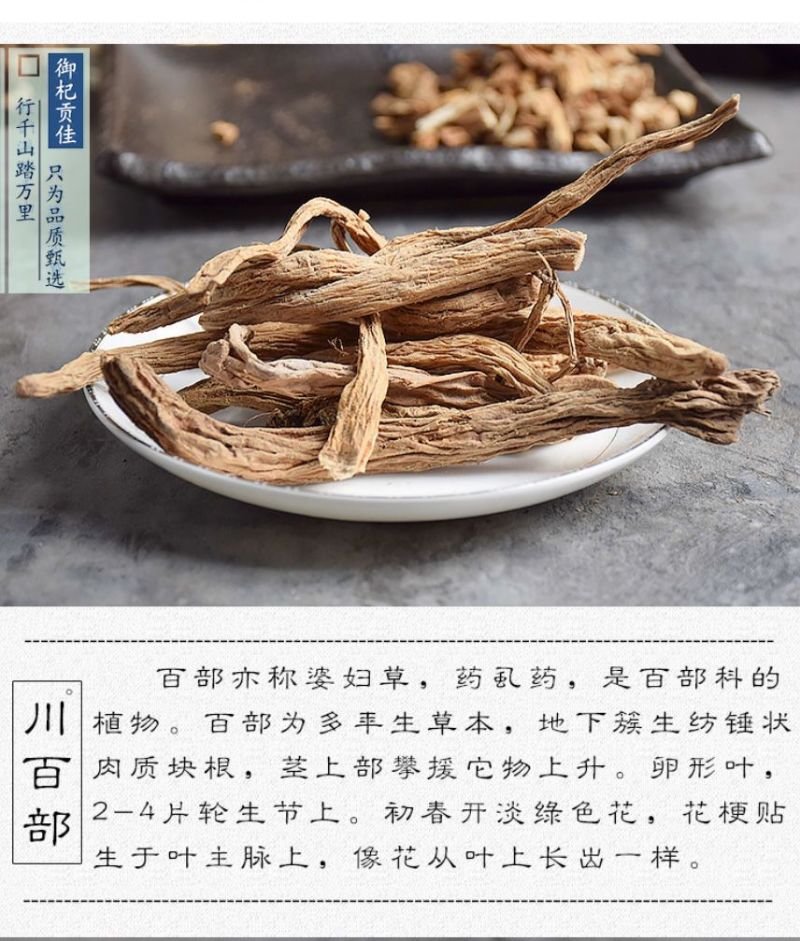 正品新货百部500克包邮中药材野生百部无硫百部草百条根百