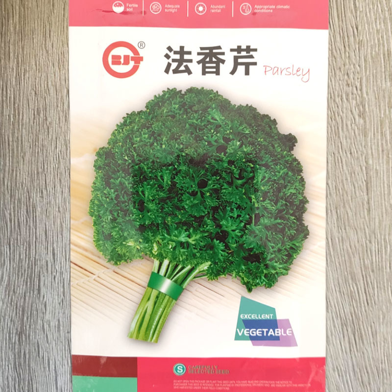 法香芹种子欧芹种子褶皱如花蔬菜种子