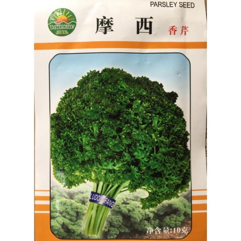 摩西香芹种子意大利欧芹种子洋香菜小香芹种子