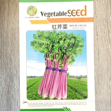 红芹菜种子叶柄红色叶绿色生长快炒食凉拌榨汁